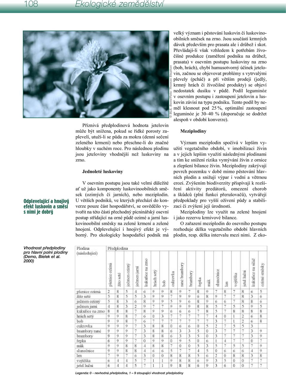 Jednoleté luskoviny V osevním postupu jsou také velmi důležité ať už jako komponenty luskovinoobilních směsek (ozimých či jarních), nebo meziplodin.