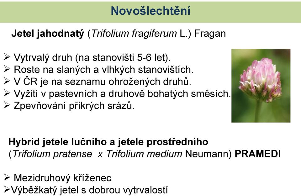 Vyžití v pastevních a druhově bohatých směsích. Zpevňování příkrých srázů.