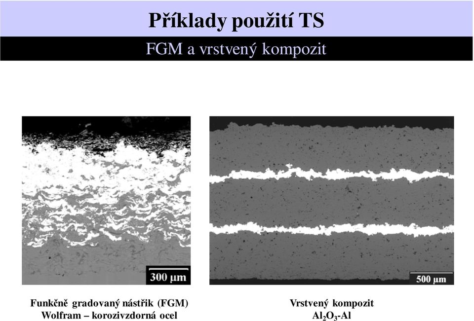 (FGM) Wolfram korozivzdorná