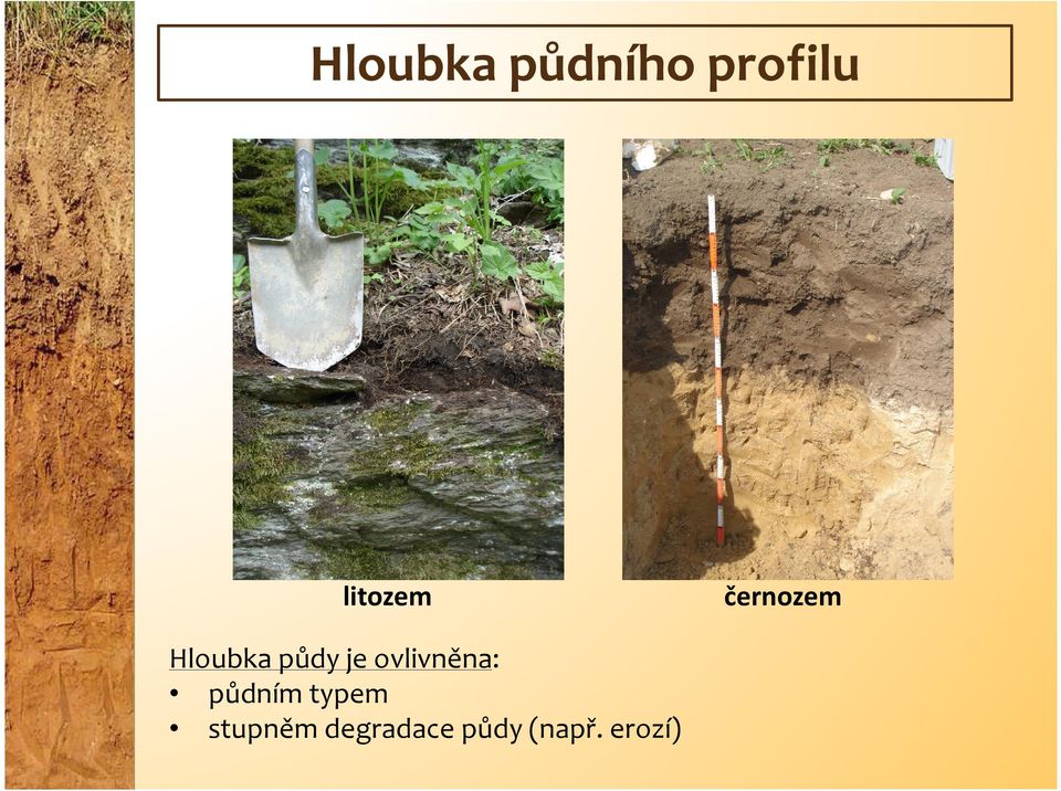 je ovlivněna: půdním typem