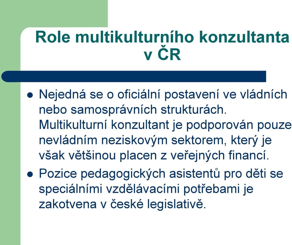 Multikulturní konzultant je podporován pouze nevládním neziskovým sektorem, který je