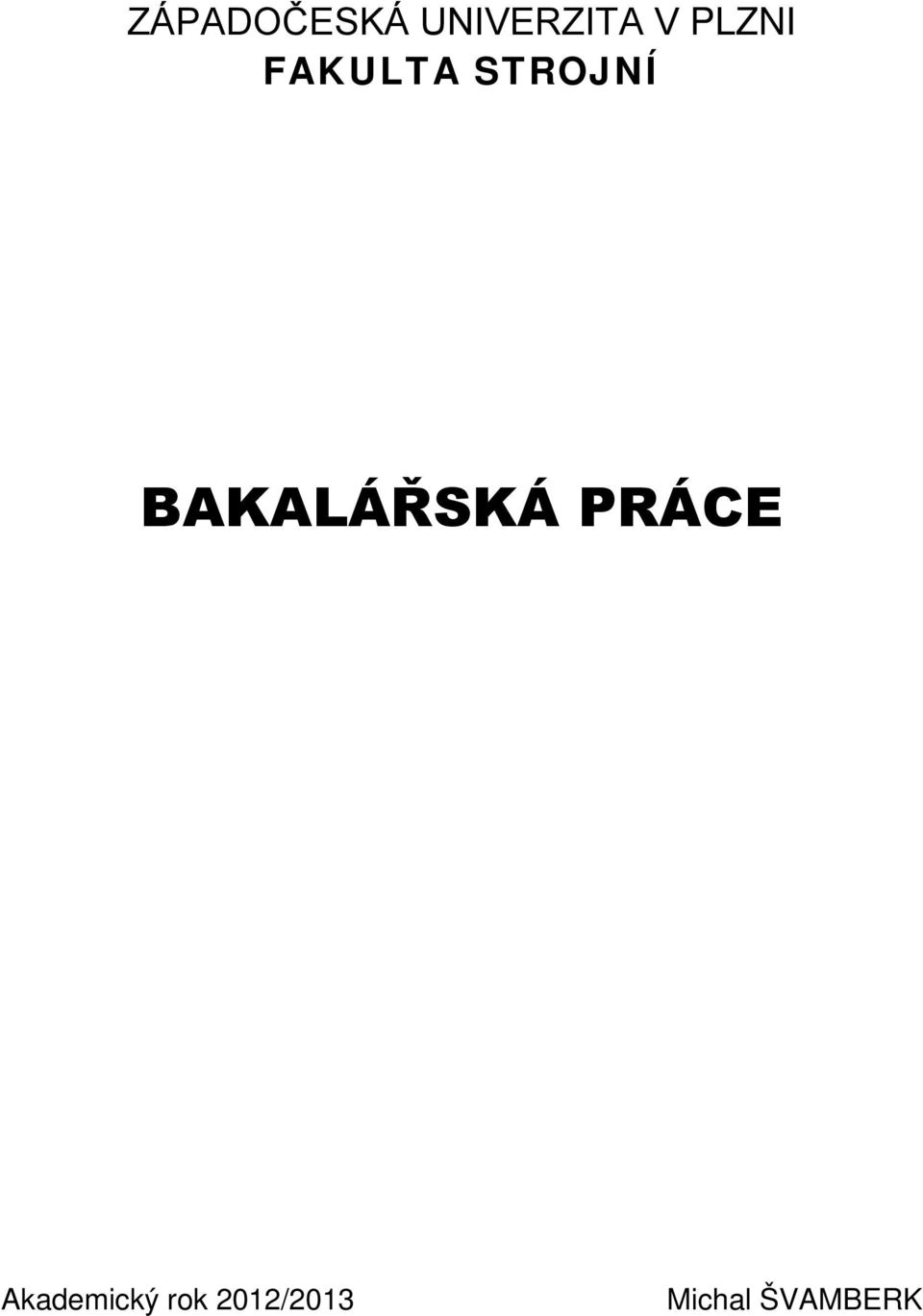 BAKALÁŘSKÁ PRÁCE