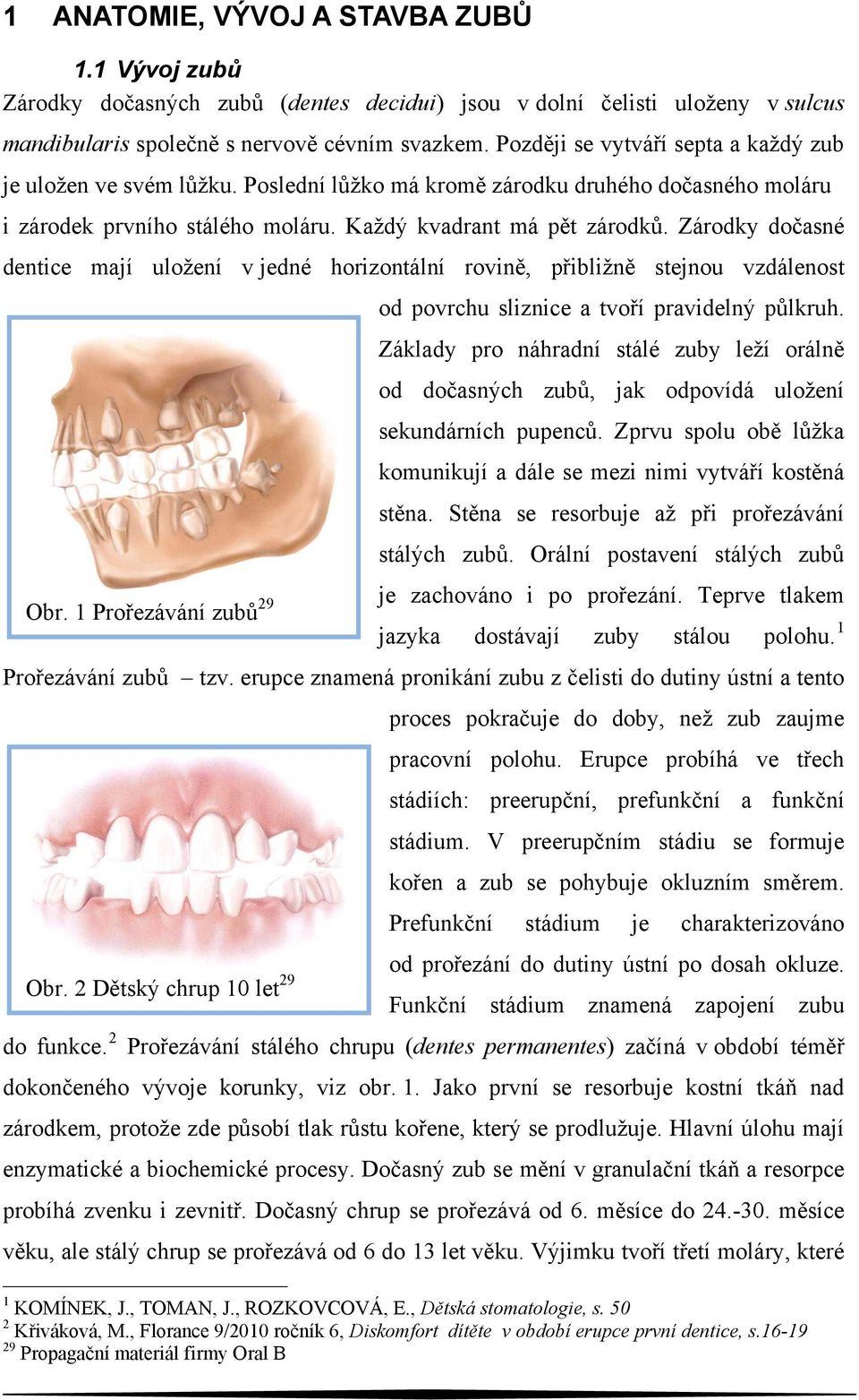 Zárodky dočasné dentice mají uložení v jedné horizontální rovině, přibližně stejnou vzdálenost od povrchu sliznice a tvoří pravidelný půlkruh.