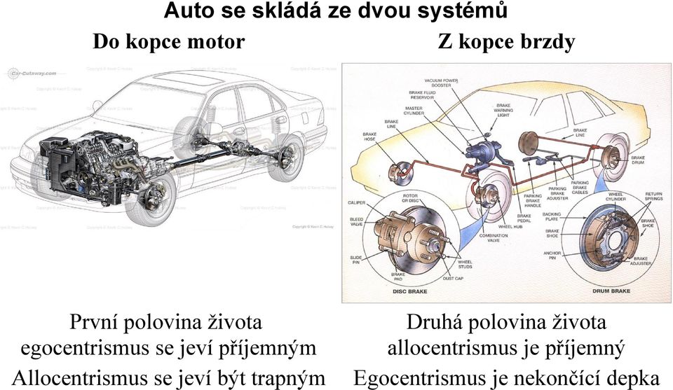 příjemným Allocentrismus se jeví být trapným Druhá