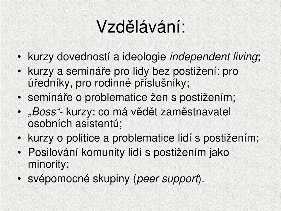 Boss - kurzy: co má vědět zaměstnavatel osobních asistentů; kurzy o politice a problematice