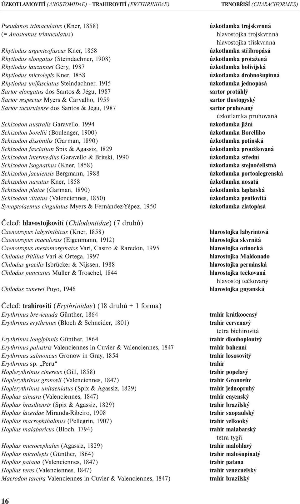 Rhytiodus microlepis Kner, 1858 úzkotlamka drobnošupinná Rhytiodus unifasciatus Steindachner, 1915 úzkotlamka jednopásá Sartor elongatus dos Santos & Jégu, 1987 sartor protáhlý Sartor respectus Myers