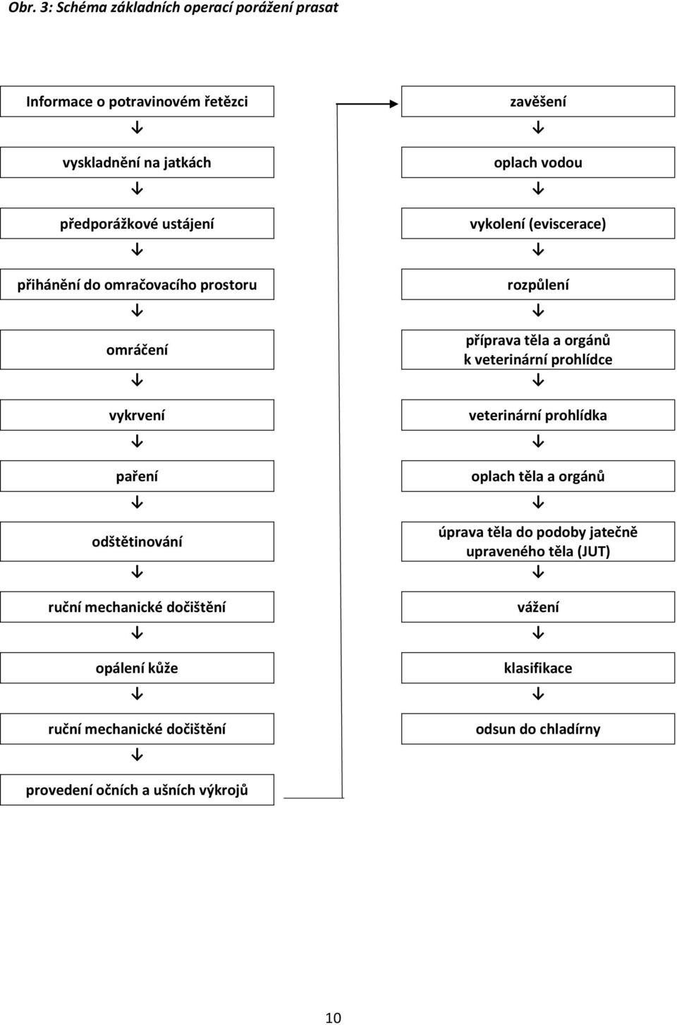 dočištění zavěšení oplach vodou vykolení (eviscerace) rozpůlení příprava těla a orgánů k veterinární prohlídce veterinární prohlídka