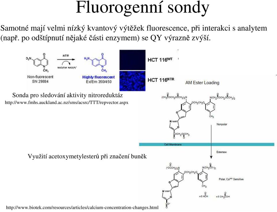 Sonda pro sledování aktivity nitroreduktáz http://www.fmhs.auckland.ac.