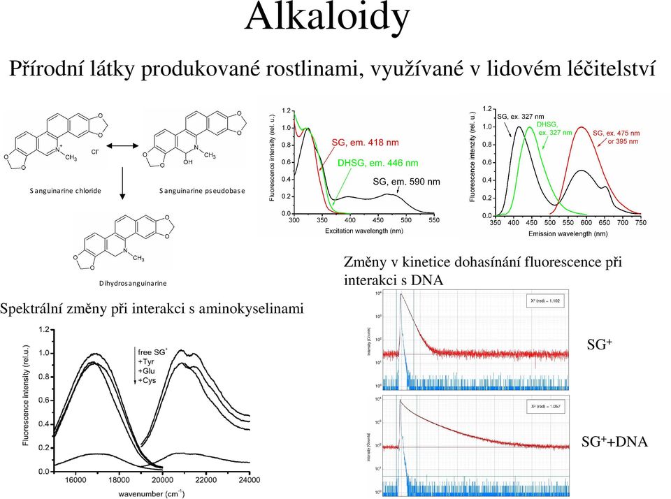 Dihydrosanguinarine Změny v kinetice dohasínání fluorescence při