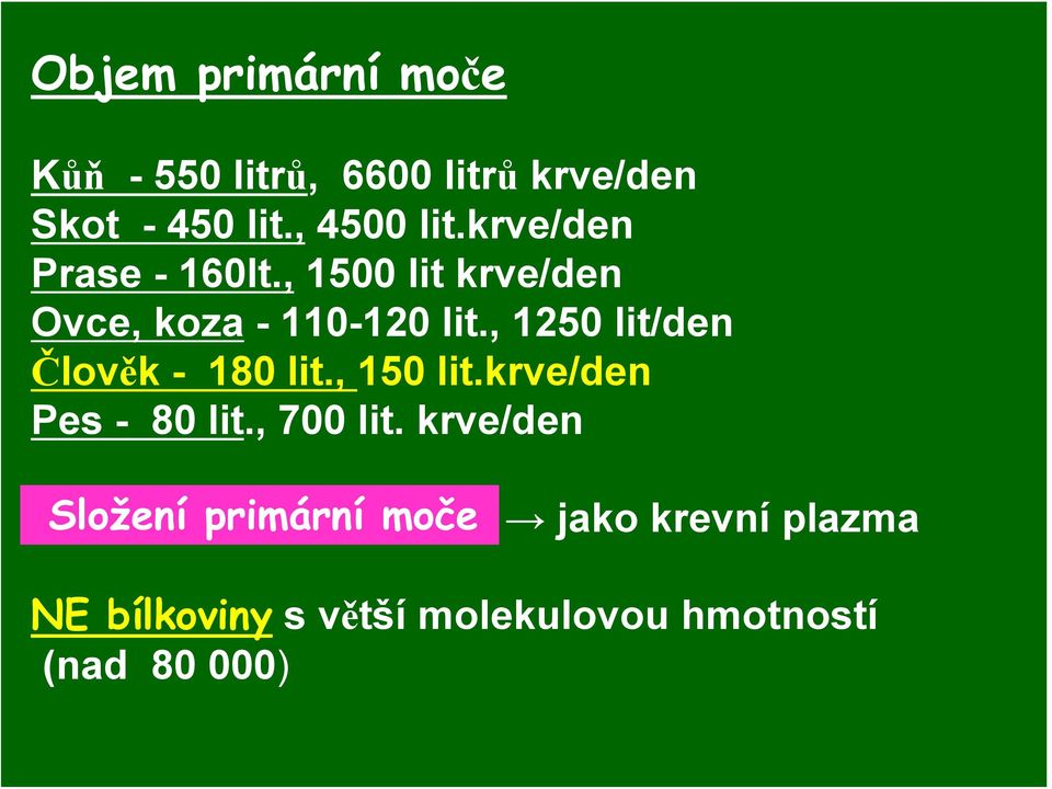 , 1250 lit/den Člověk - 180 lit., 150 lit.krve/den Pes - 80 lit., 700 lit.