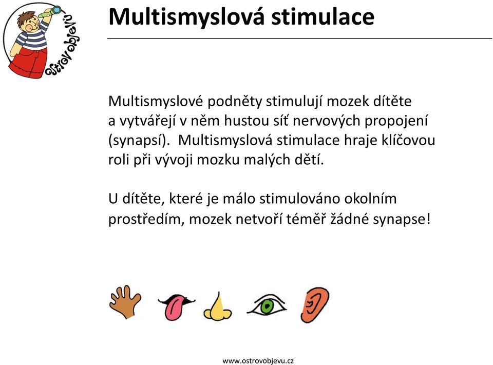 Multismyslová stimulace hraje klíčovou roli při vývoji mozku malých dětí.