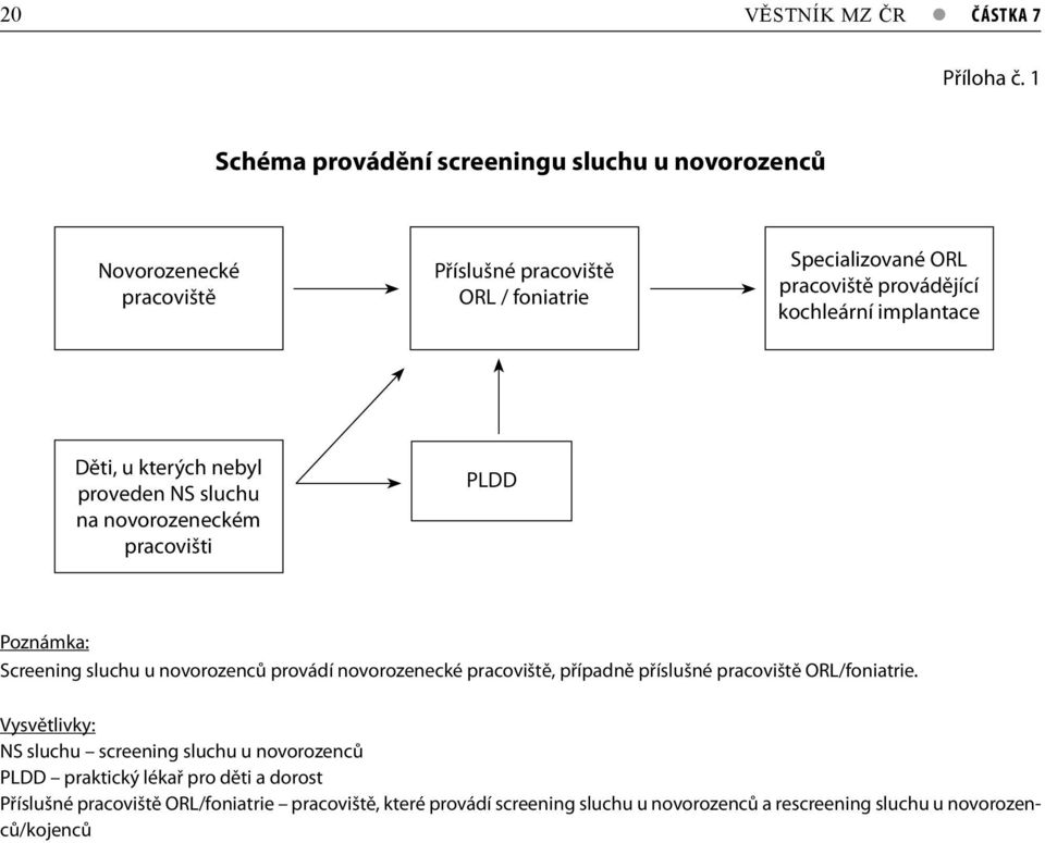 kochleární implantace Děti, u kterých nebyl proveden NS sluchu na novorozeneckém pracovišti PLDD Poznámka: Screening sluchu u novorozenců provádí