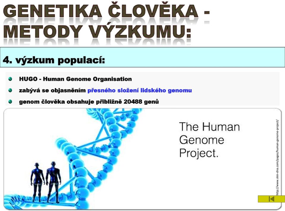 výzkum populací: HUGO - Human Genome Organisation