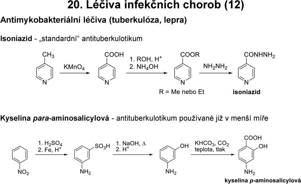 Isoniazid - standardní antituberkulotikum Kyselina