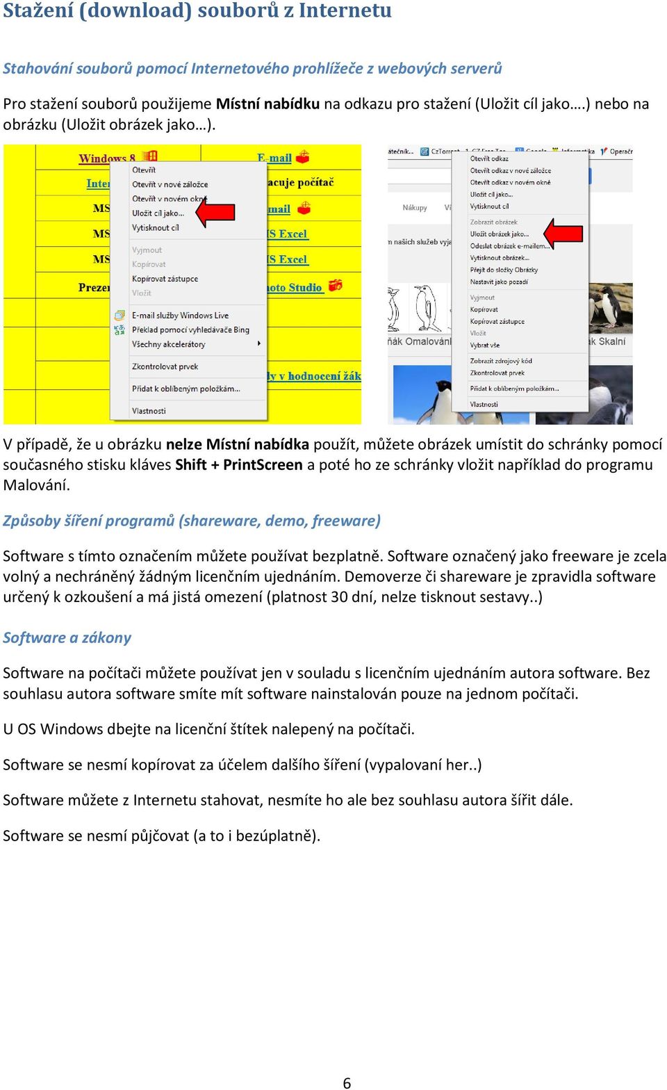 V případě, že u obrázku nelze Místní nabídka použít, můžete obrázek umístit do schránky pomocí současného stisku kláves Shift + PrintScreen a poté ho ze schránky vložit například do programu Malování.