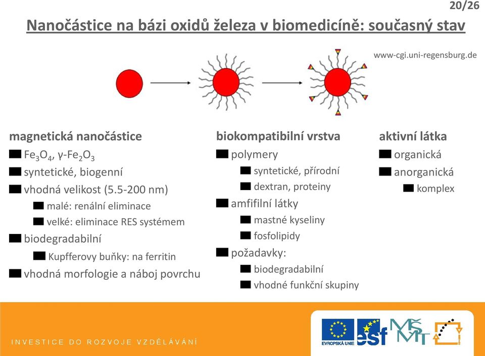 5-200 nm) malé: renální eliminace velké: eliminace RES systémem biodegradabilní Kupfferovy buňky: na ferritin vhodná morfologie a