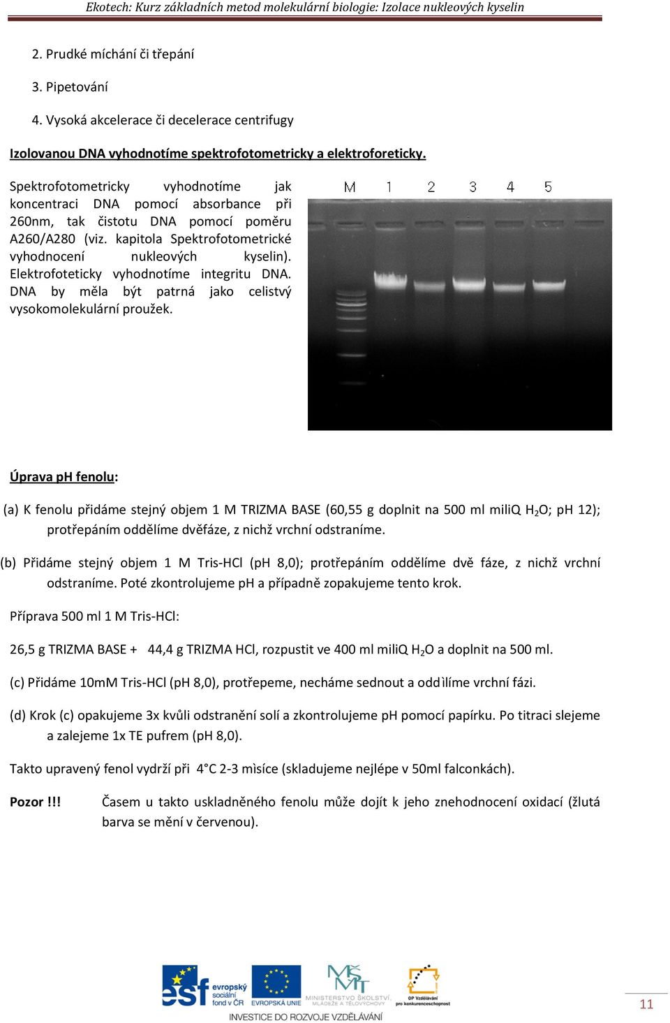 Spektrofotometricky vyhodnotíme jak koncentraci DNA pomocí absorbance při 260nm, tak čistotu DNA pomocí poměru A260/A280 (viz. kapitola Spektrofotometrické vyhodnocení nukleových kyselin).