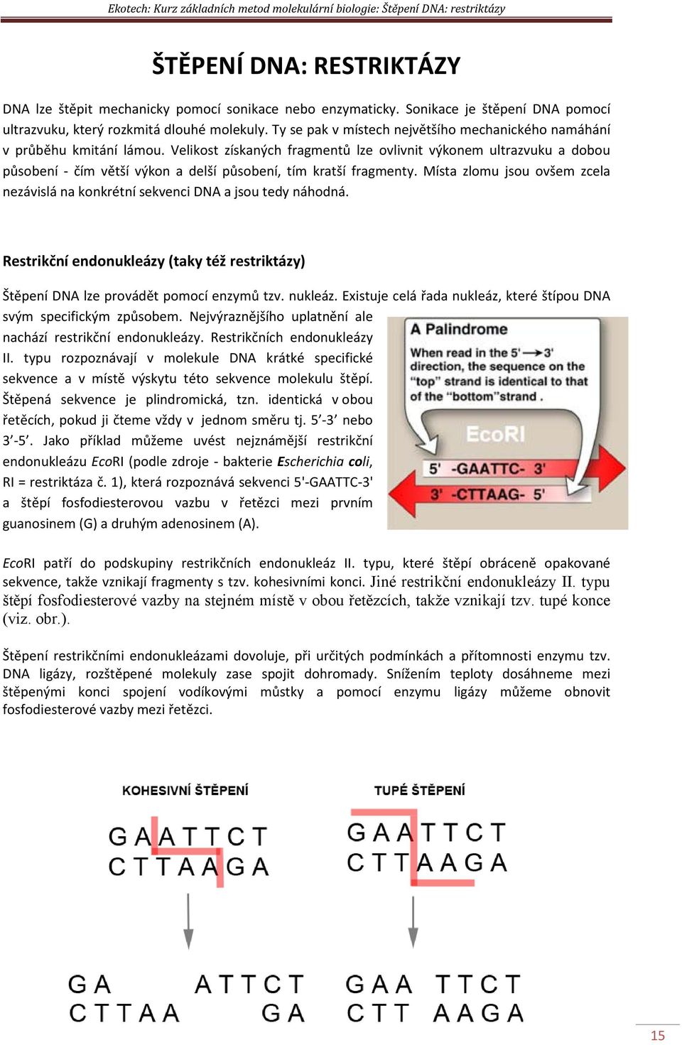 Velikost získaných fragmentů lze ovlivnit výkonem ultrazvuku a dobou působení - čím větší výkon a delší působení, tím kratší fragmenty.