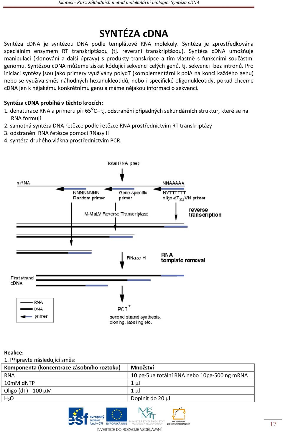 Syntéza cdna umožňuje manipulaci (klonování a další úpravy) s produkty transkripce a tím vlastně s funkčními součástmi genomu. Syntézou cdna můžeme získat kódující sekvenci celých genů, tj.