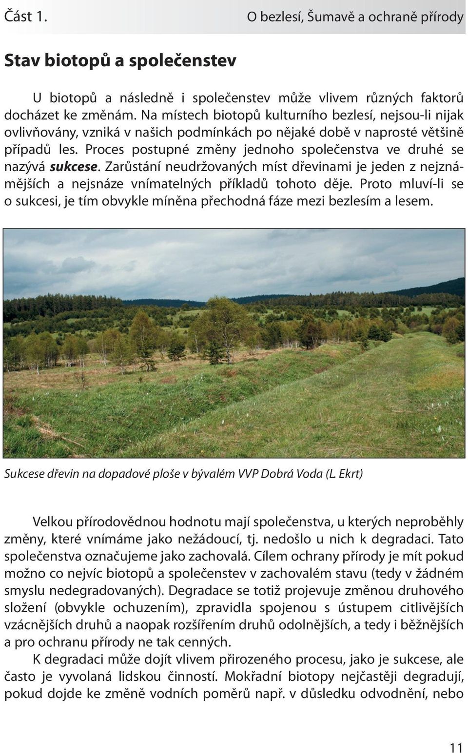 Proces postupné změny jednoho společenstva ve druhé se nazývá sukcese. Zarůstání neudržovaných míst dřevinami je jeden z nejznámějších a nejsnáze vnímatelných příkladů tohoto děje.