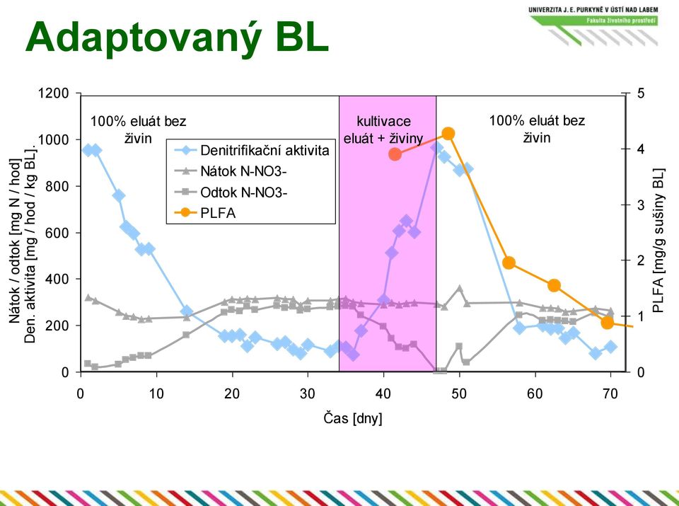 Denitrifikační aktivita kultivace eluát + živiny 100% eluát bez živin 4