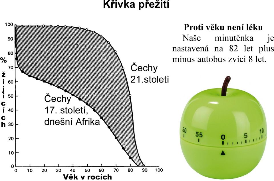 je nastavená na 82 let