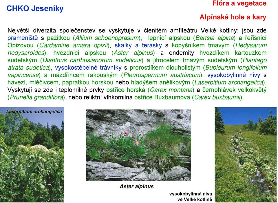 (Dianthus carthusianorum sudeticus) a jitrocelem tmavým sudetským (Plantago atrata sudetica), vysokostébelné trávníky s prorostlíkem dlouholistým (Bupleurum longifolium vapincense) a mázdřincem