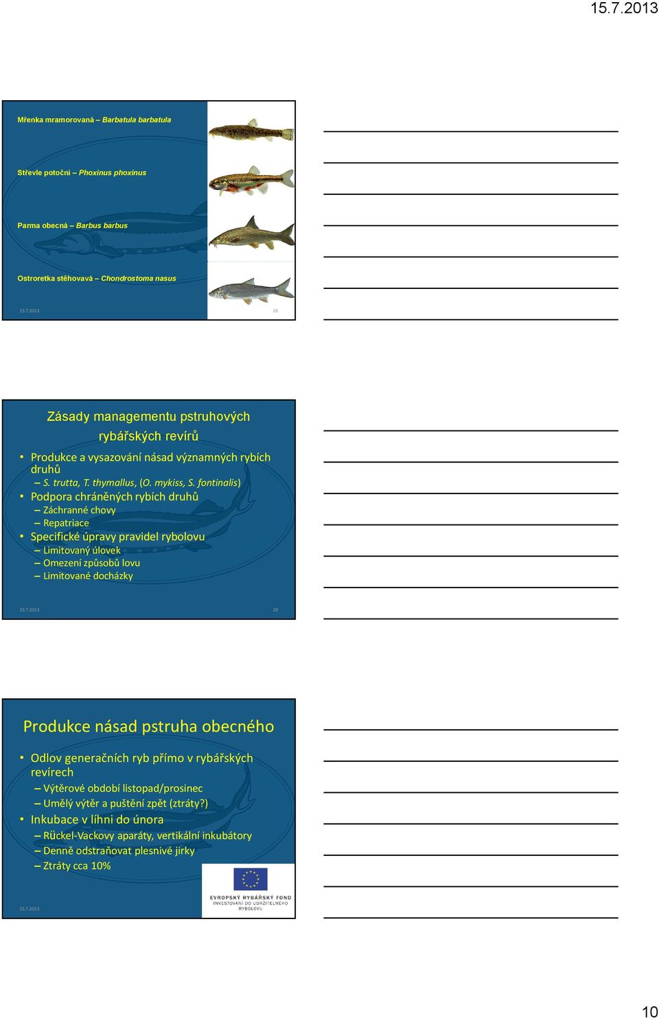 fontinalis) Podpora chráněných rybích druhů Záchranné chovy Repatriace Specifické úpravy pravidel rybolovu Limitovaný úlovek Omezení způsobů lovu Limitované docházky 29 Produkce