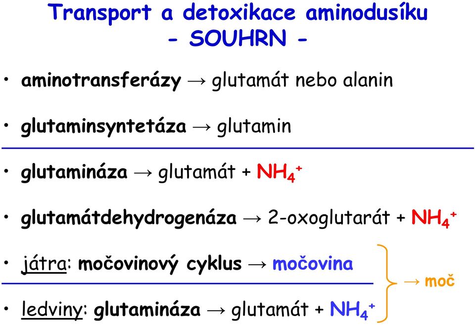 glutamát + NH 4 + glutamátdehydrogenáza 2-oxoglutarát + NH 4 +