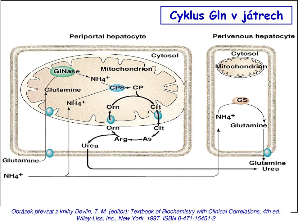 (editor): Textbook of Biochemistry with