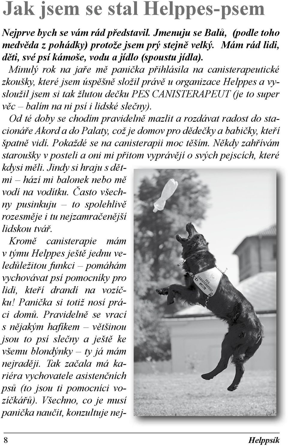 Minulý rok na jaře mě panička přihlásila na canisterapeutické zkoušky, které jsem úspěšně složil právě u organizace Helppes a vysloužil jsem si tak žlutou dečku PES CANISTERAPEUT (je to super věc