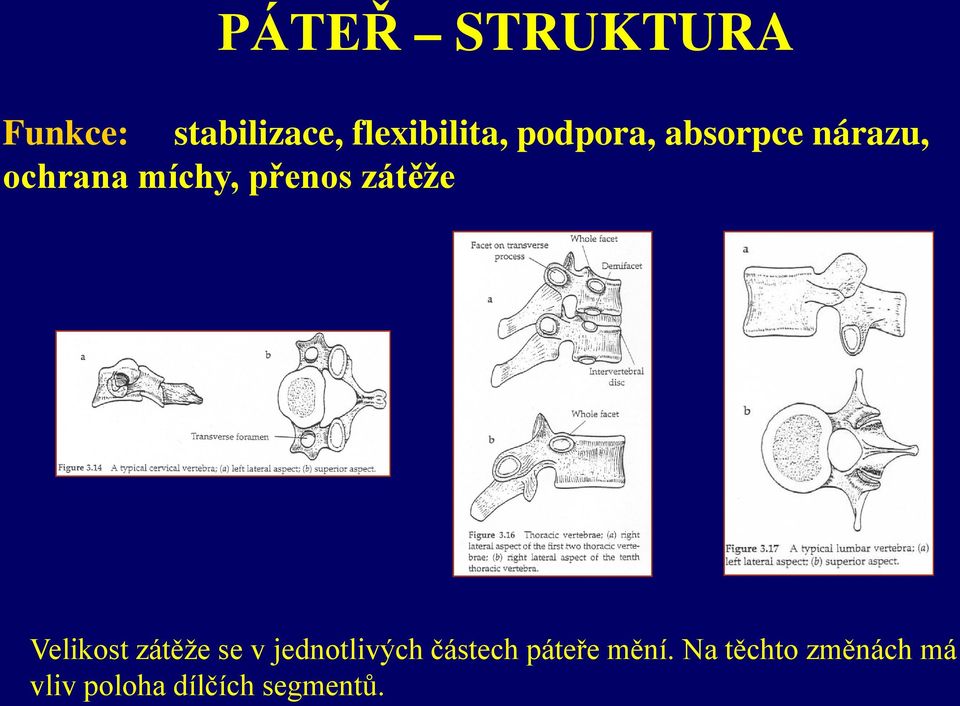 zátěže Velikost zátěže se v jednotlivých částech