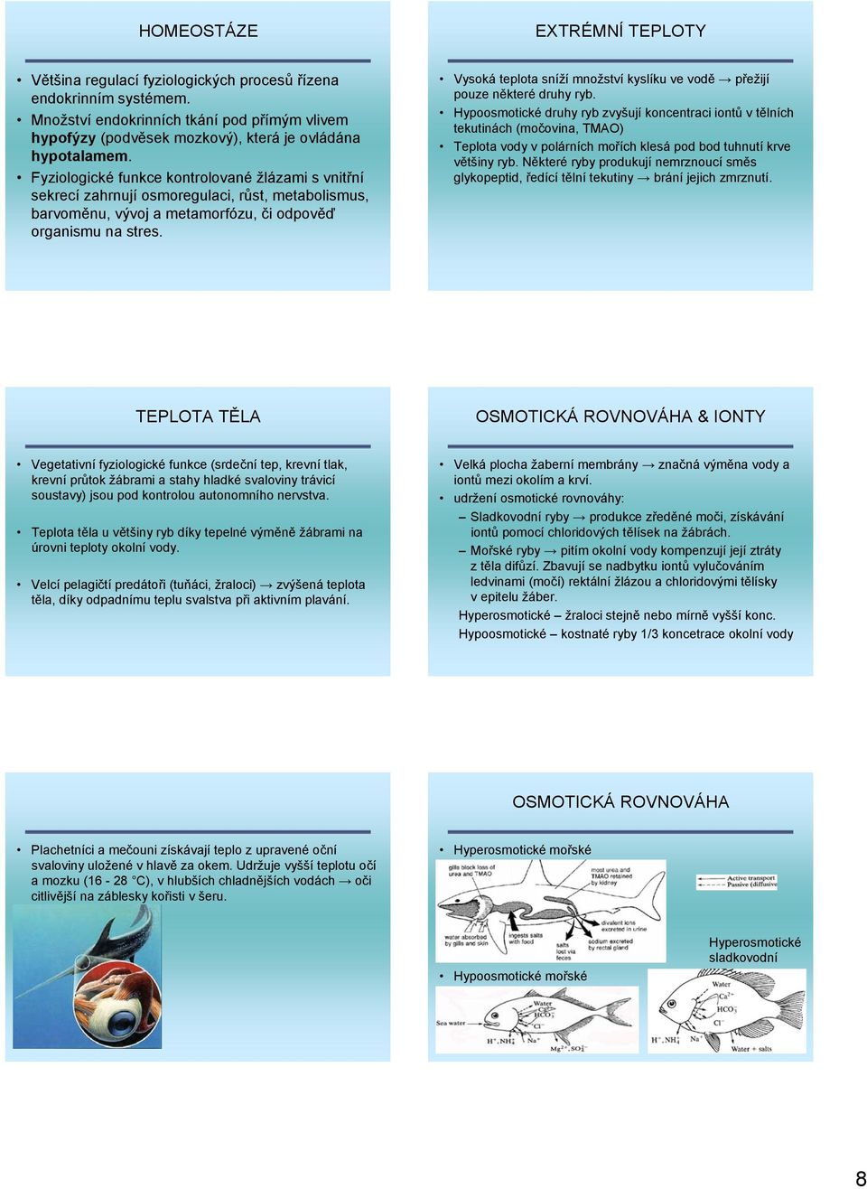 Fyziologické funkce kontrolované žlázami s vnitřní sekrecí zahrnují osmoregulaci, růst, metabolismus, barvoměnu, vývoj a metamorfózu, či odpověď organismu na stres.