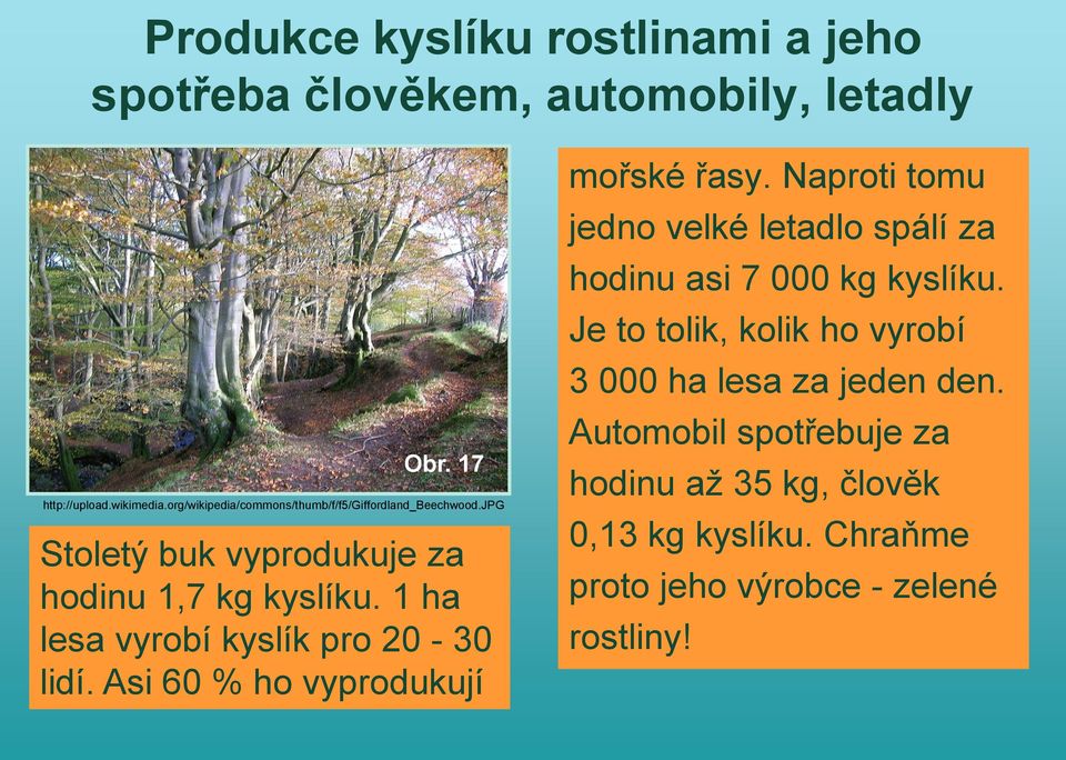 1 ha lesa vyrobí kyslík pro 20-30 lidí. Asi 60 % ho vyprodukují mořské řasy.