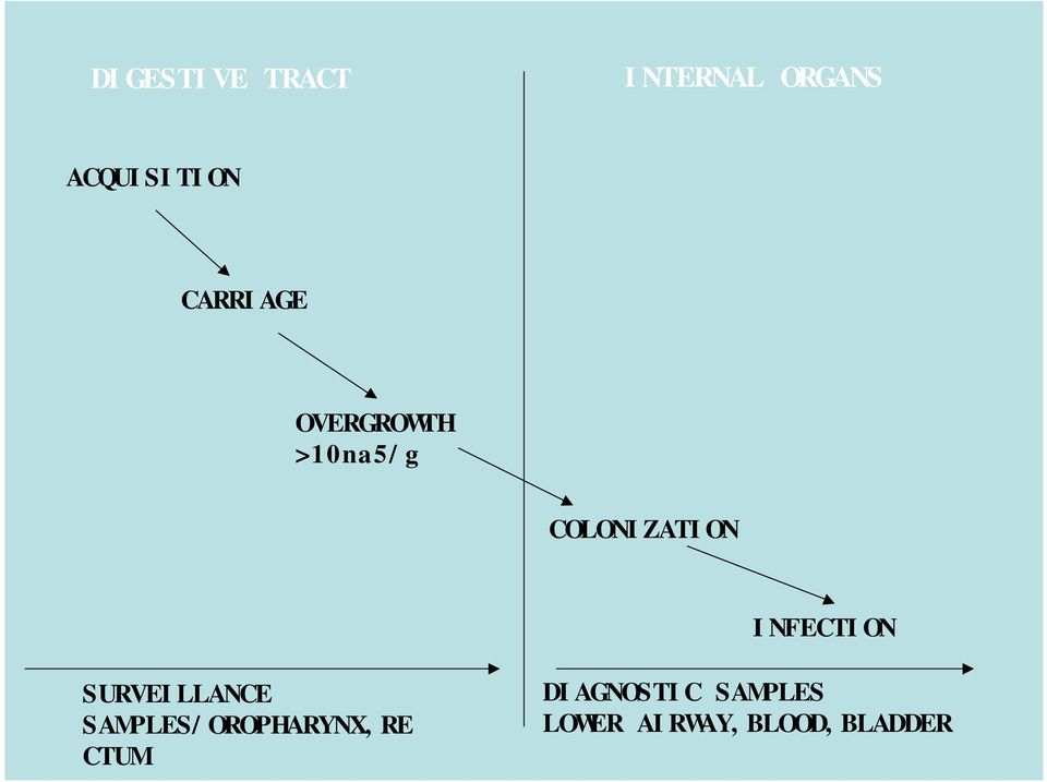 INFECTION SURVEILLANCE SAMPLES/OROPHARYNX,RE