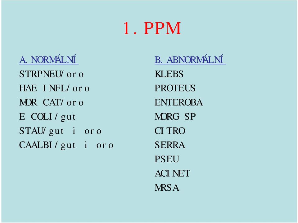 CAT/oro E COLI/gut STAU/gut i oro