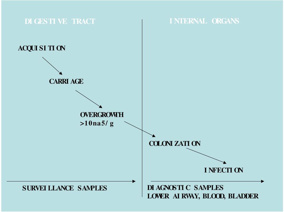 COLONIZATION INFECTION SURVEILLANCE