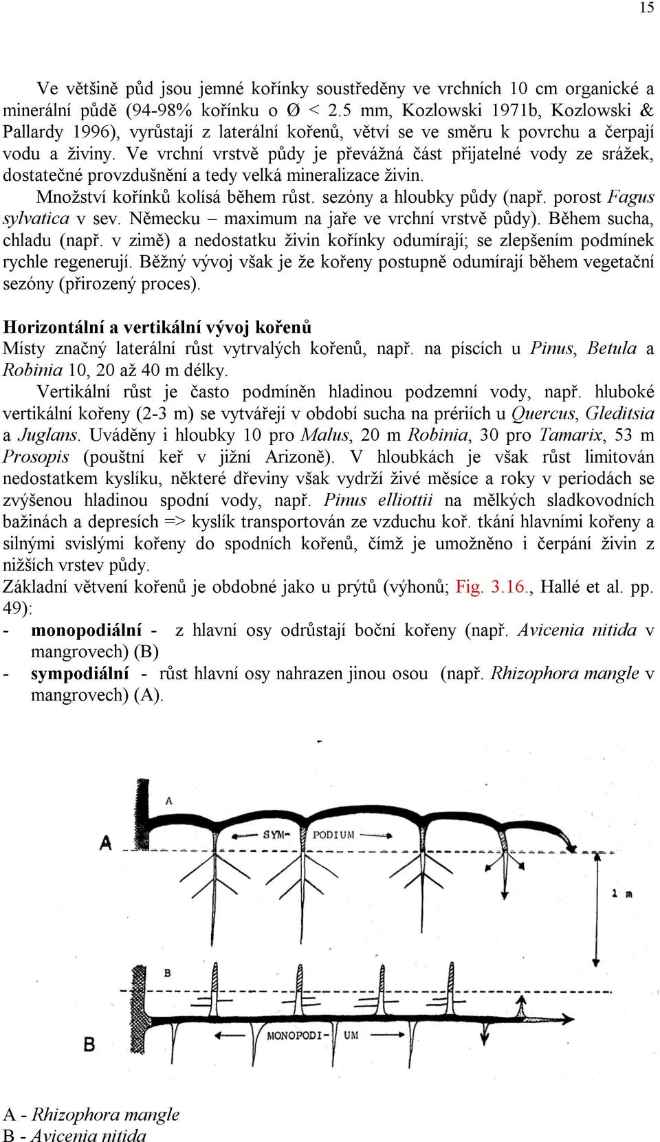 Ve vrchní vrstvě půdy je převážná část přijatelné vody ze srážek, dostatečné provzdušnění a tedy velká mineralizace živin. Množství kořínků kolísá během růst. sezóny a hloubky půdy (např.