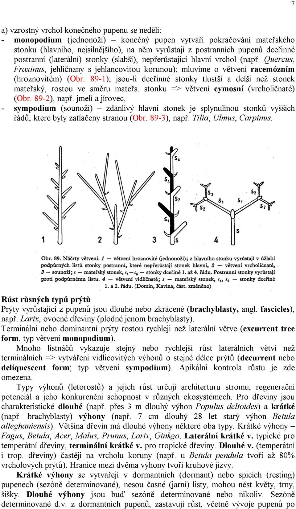 89-1); jsou-li dceřinné stonky tlustší a delší než stonek mateřský, rostou ve směru mateřs. stonku => větvení cymosní (vrcholičnaté) (Obr. 89-2), např.