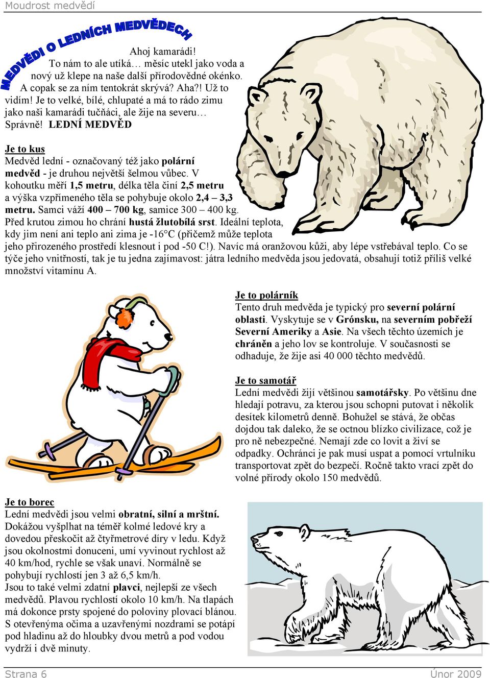 LEDNÍ MEDVĚD Je to kus Medvěd lední - označovaný též jako polární medvěd - je druhou největší šelmou vůbec.