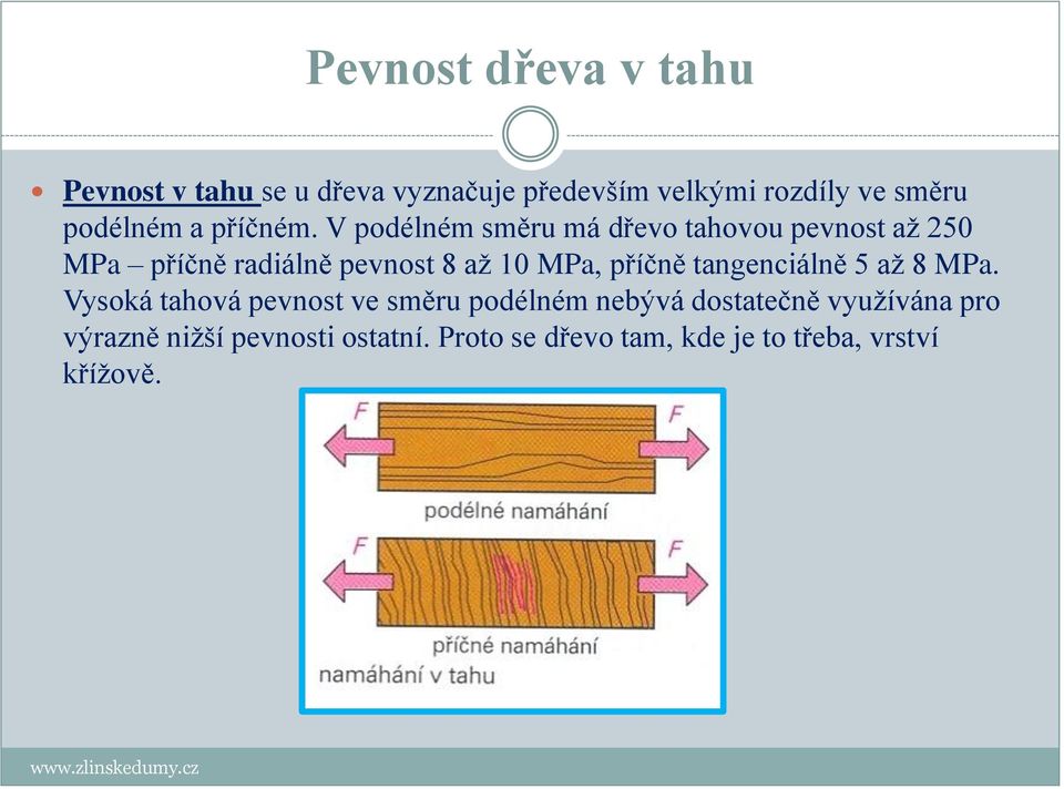 V podélném směru má dřevo tahovou pevnost až 250 MPa příčně radiálně pevnost 8 až 10 MPa, příčně