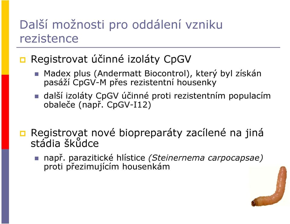 CpGV účinné proti rezistentním populacím obaleče (např.