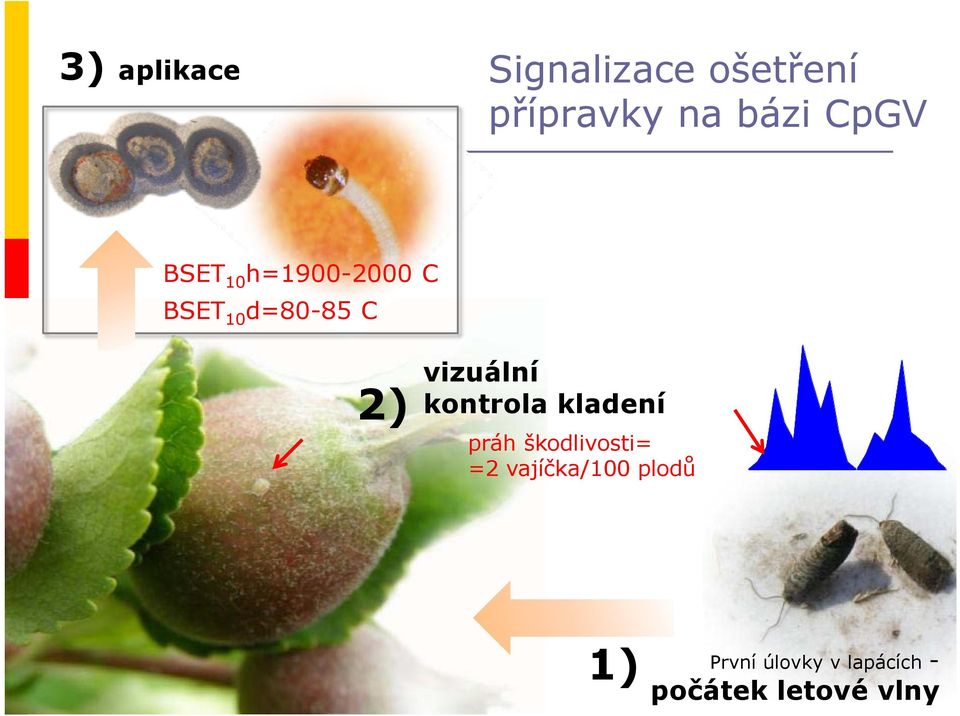 vizuální kontrola kladení práh škodlivosti= =2