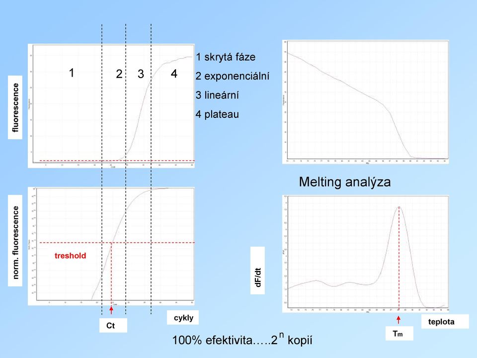 4 plateau Melting analýza treshold Ct