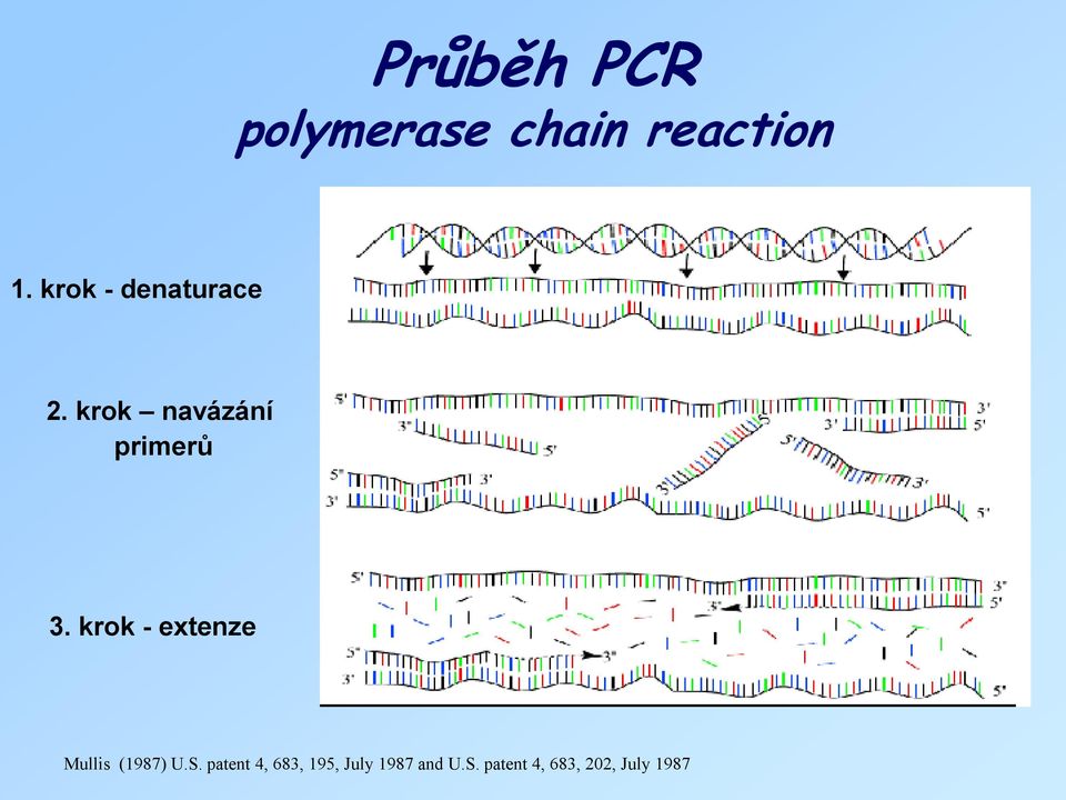 krok - extenze Mullis (1987) U.S.