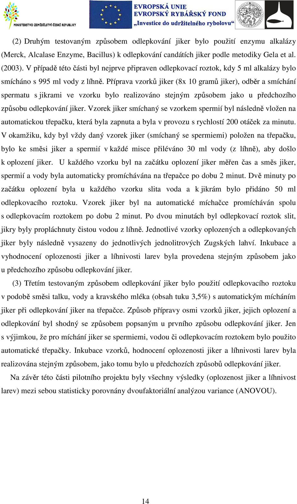 Příprava vzorků jiker (8x 10 gramů jiker), odběr a smíchání spermatu s jikrami ve vzorku bylo realizováno stejným způsobem jako u předchozího způsobu odlepkování jiker.