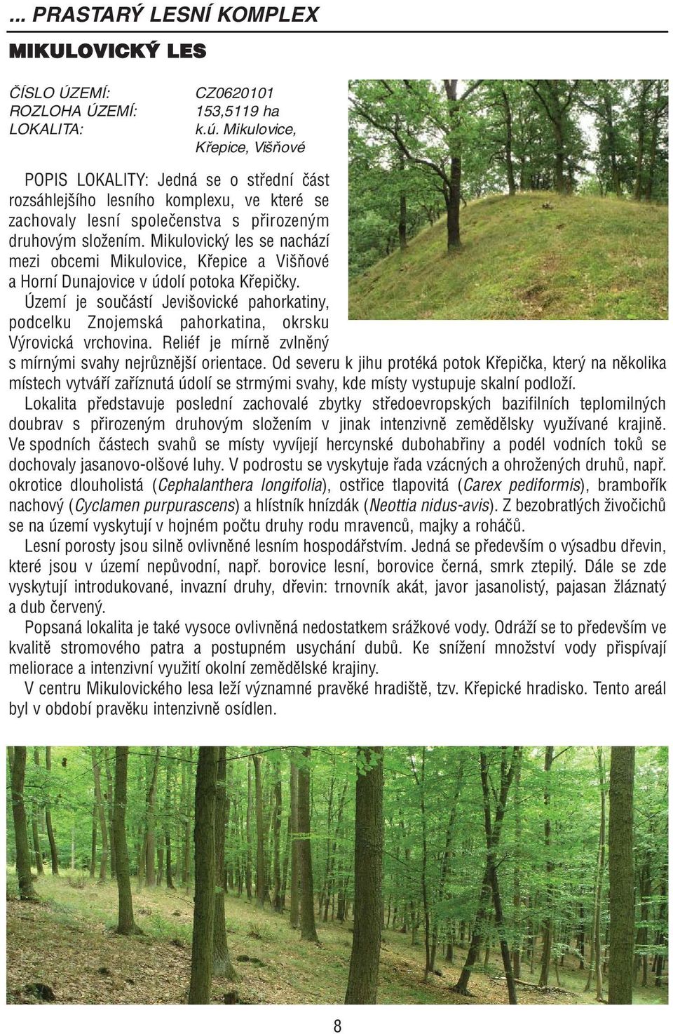 Mikulovický les se nachází mezi obcemi Mikulovice, Křepice a Višňové a Horní Dunajovice v údolí potoka Křepičky.