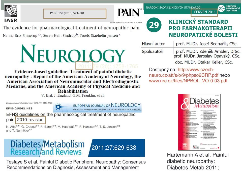 Painful Diabetic Peripheral Neuropathy: Consensus Recommendations on Diagnosis,