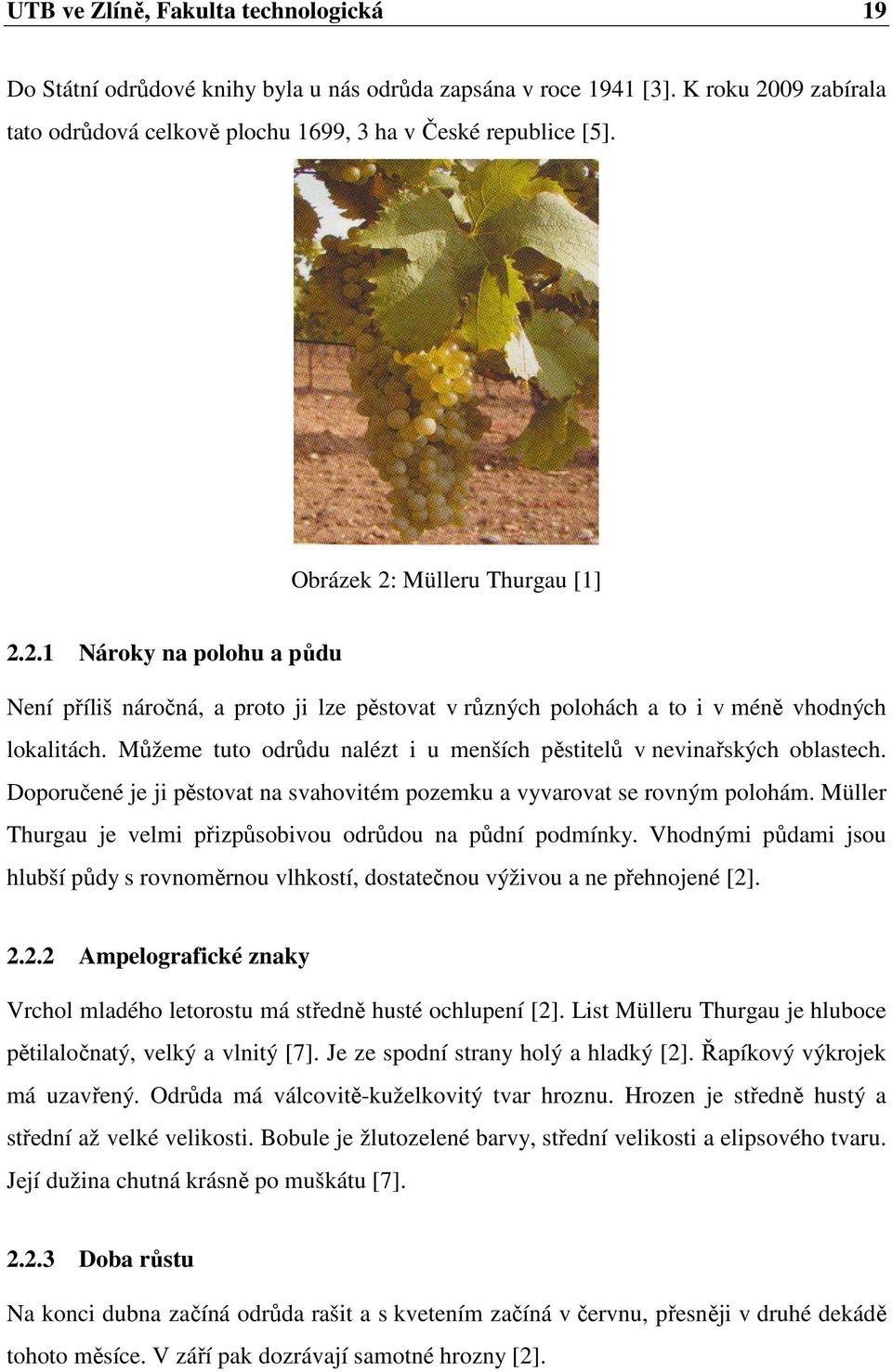 Můžeme tuto odrůdu nalézt i u menších pěstitelů v nevinařských oblastech. Doporučené je ji pěstovat na svahovitém pozemku a vyvarovat se rovným polohám.