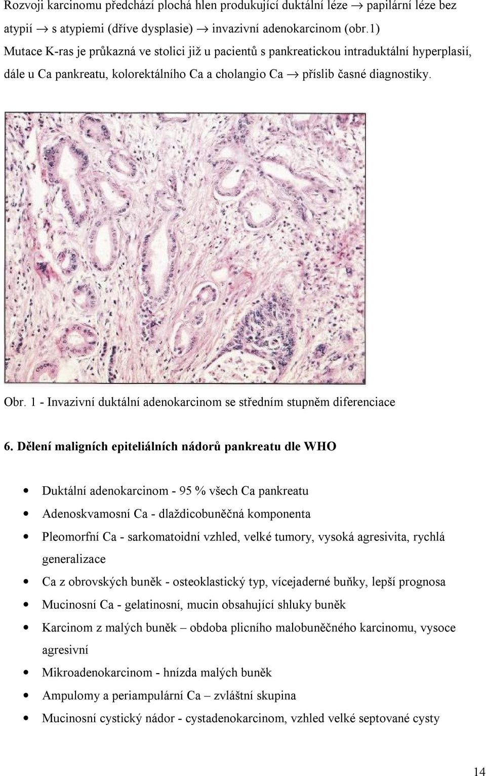 1 - Invazivní duktální adenokarcinom se středním stupněm diferenciace 6.